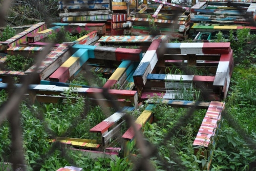 A travers la grille de clôture (2).JPG