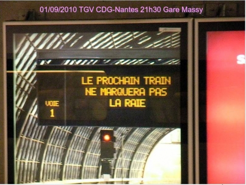 La raie, Gare de Massy, 01-09-2010 commValière.jpg